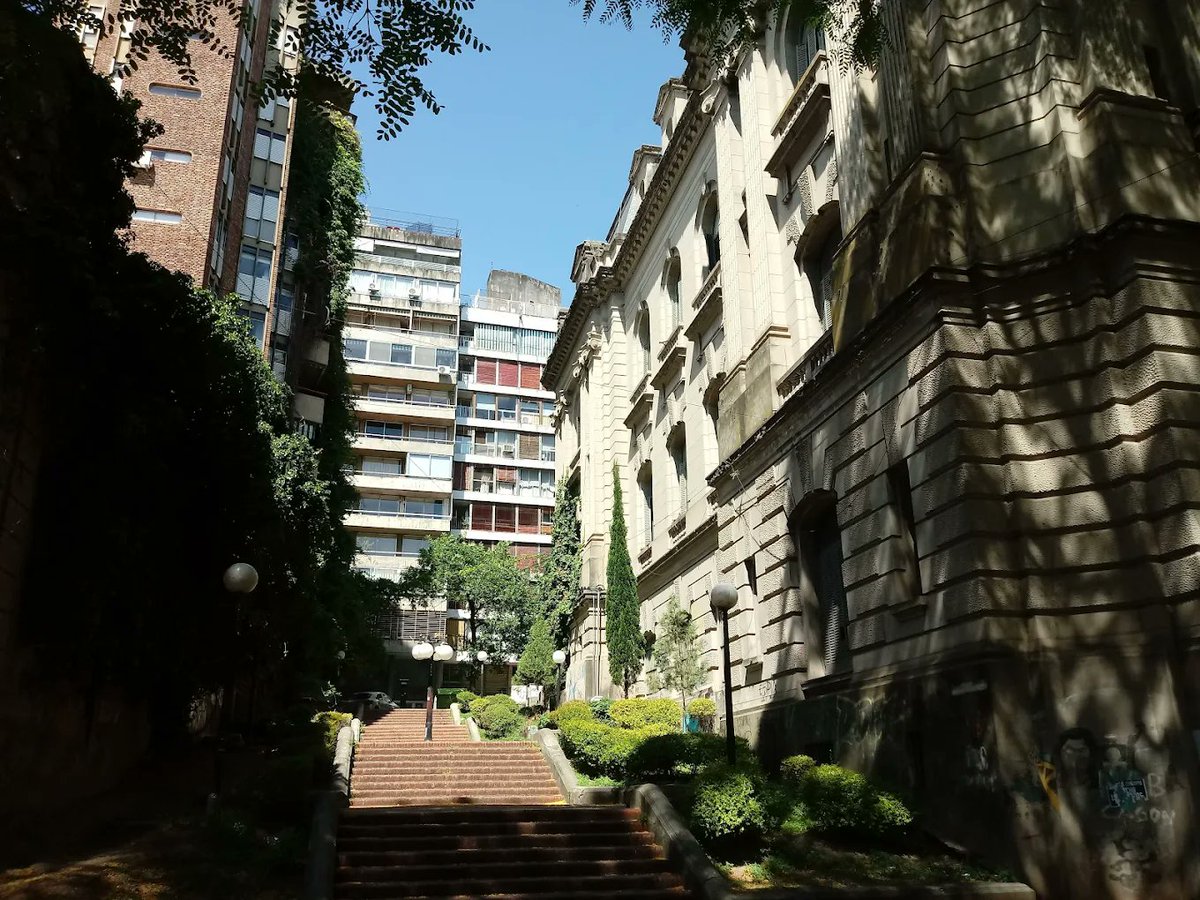 Nicolás Maggi tweet media