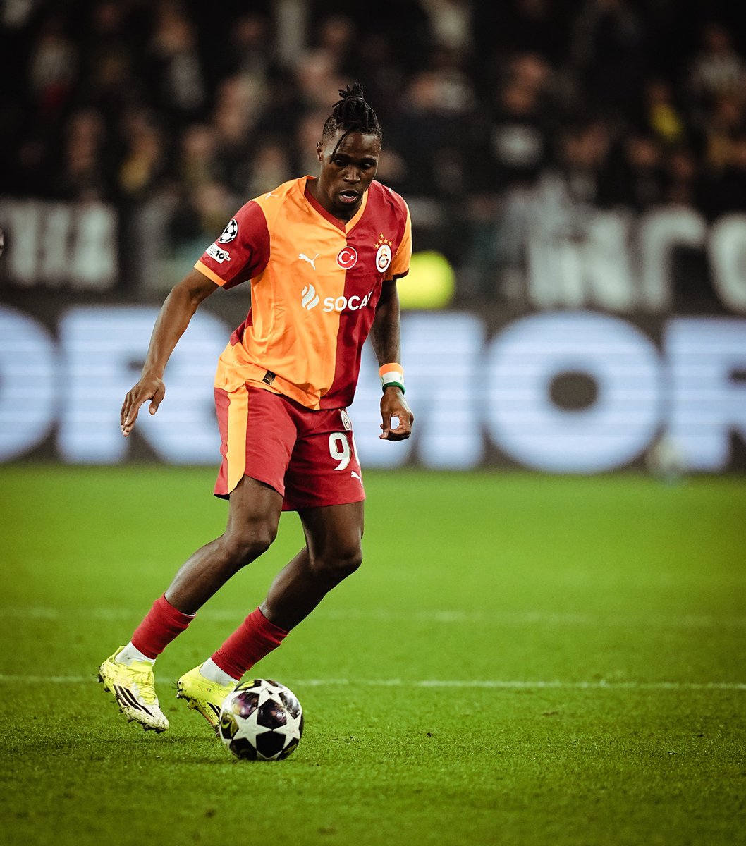 🦁 𝗪𝗶𝗹𝗳𝗿𝗶𝗲𝗱 𝗦𝗶𝗻𝗴𝗼 💪