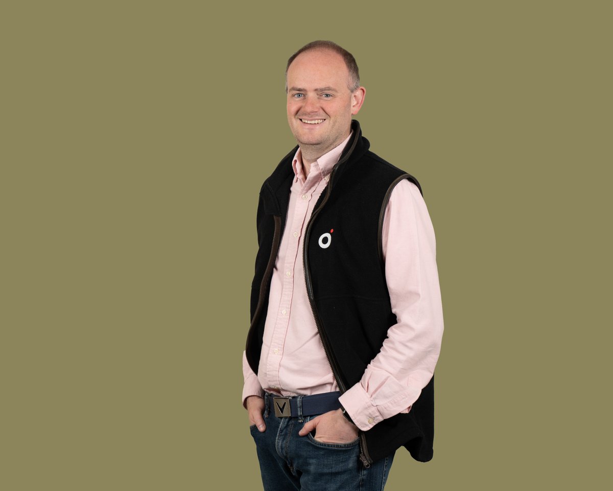 Old Mill tweet media