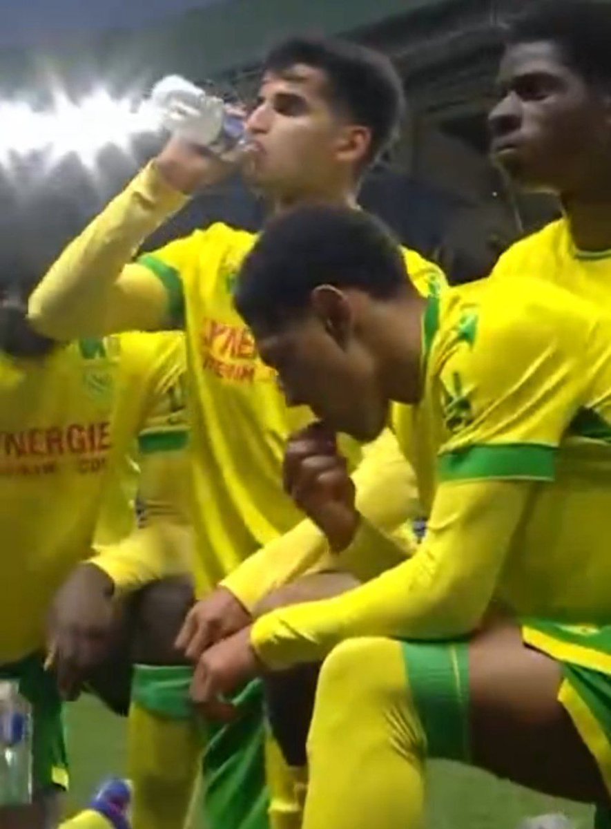 برهان مجد tweet media