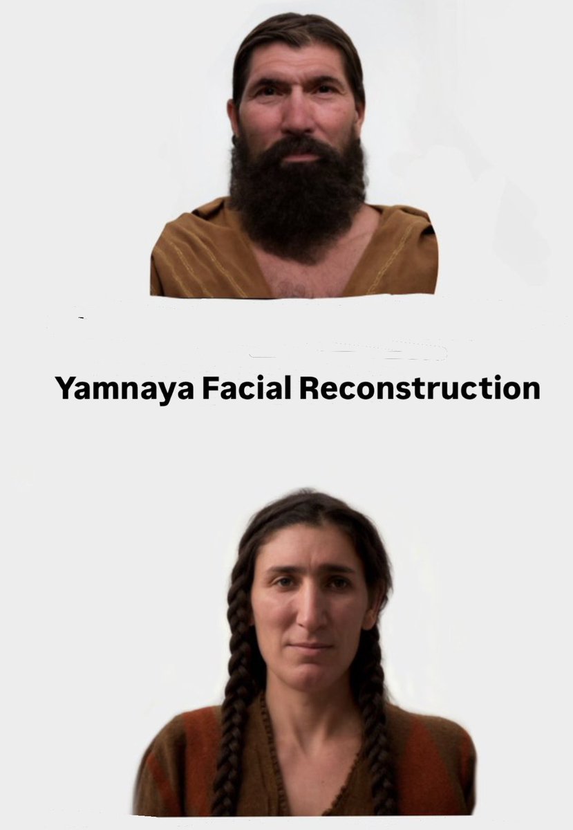 Polat 🗽🏛️ ✹ tweet media