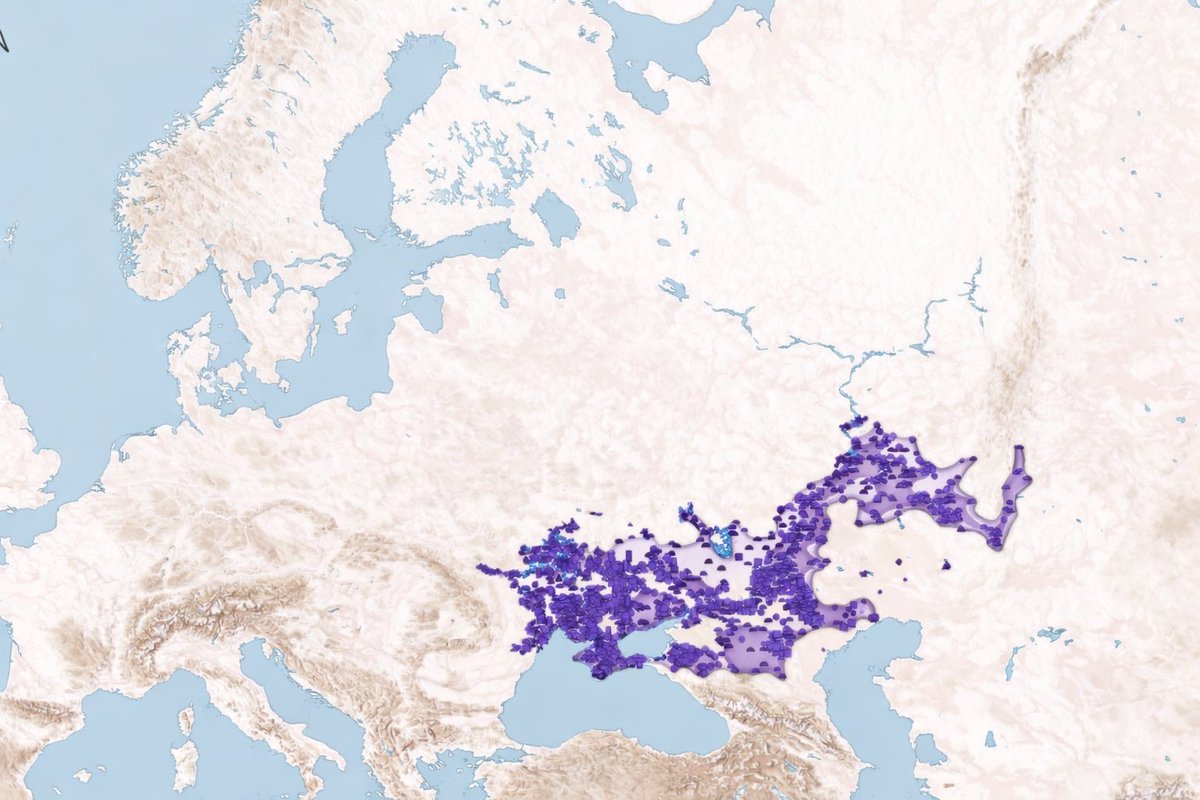 Polat 🗽🏛️ ✹ tweet media