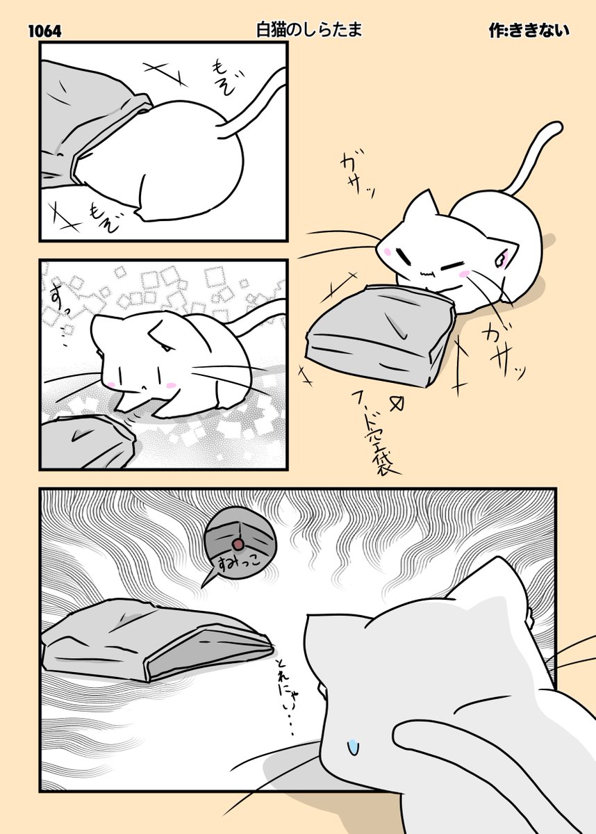 タイトル 〈最後の一粒〉 毎日イラスト投稿継続日数 【1429日目】 白猫