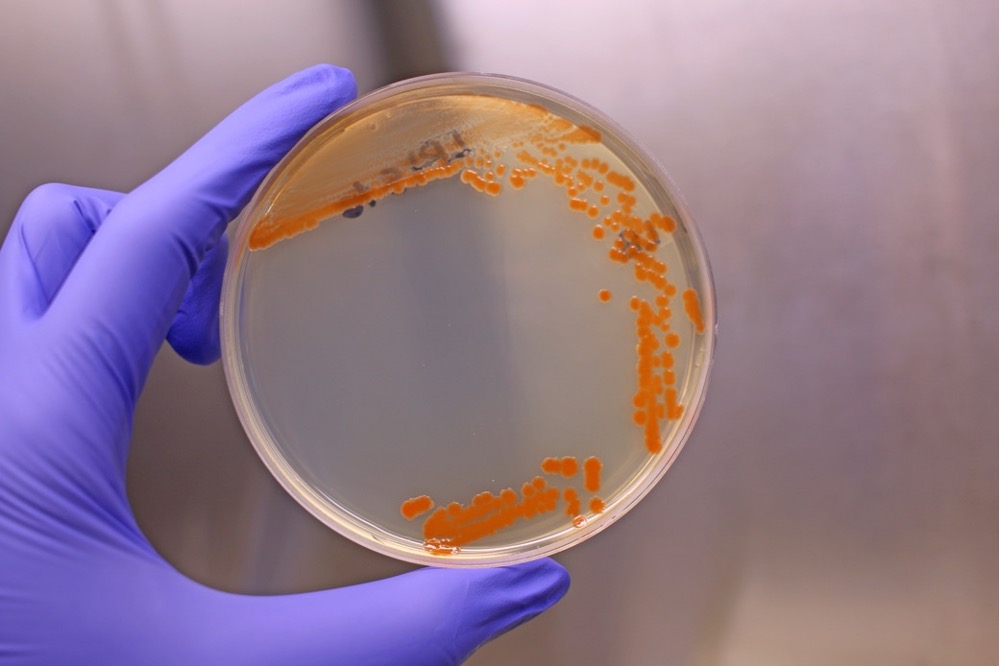 Alexandre Soares Rosado tweet media