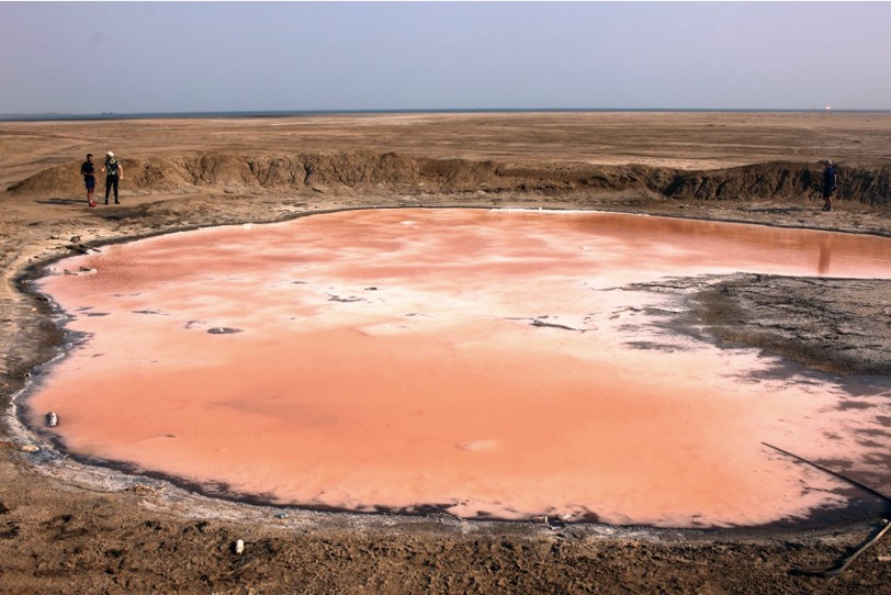 Alexandre Soares Rosado tweet media