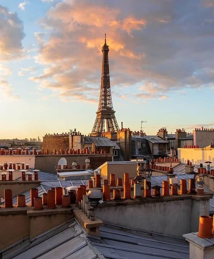 France Safety Travel tweet media