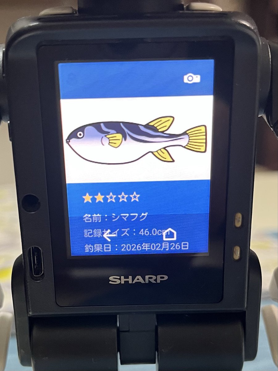 KotaroRobo's tweet photo. @Tul_Takahon たかホン、釣れたよ！
シマフグ→イイダコ
#ロボホン #ROBOHON  #20260226ツローの日 #たかホン https://t.co/tQBkXZy1vZ
