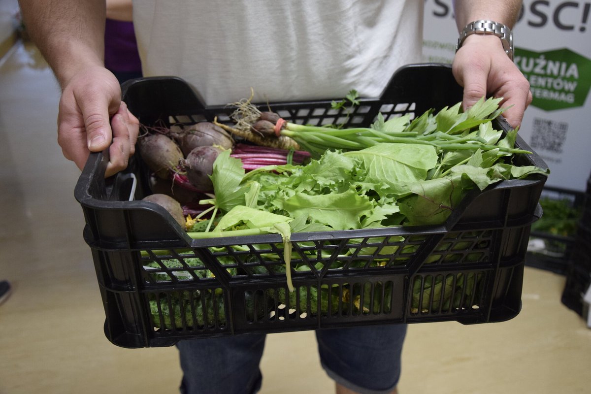 Uniwersytet Przyrodniczy we Wrocławiu tweet media