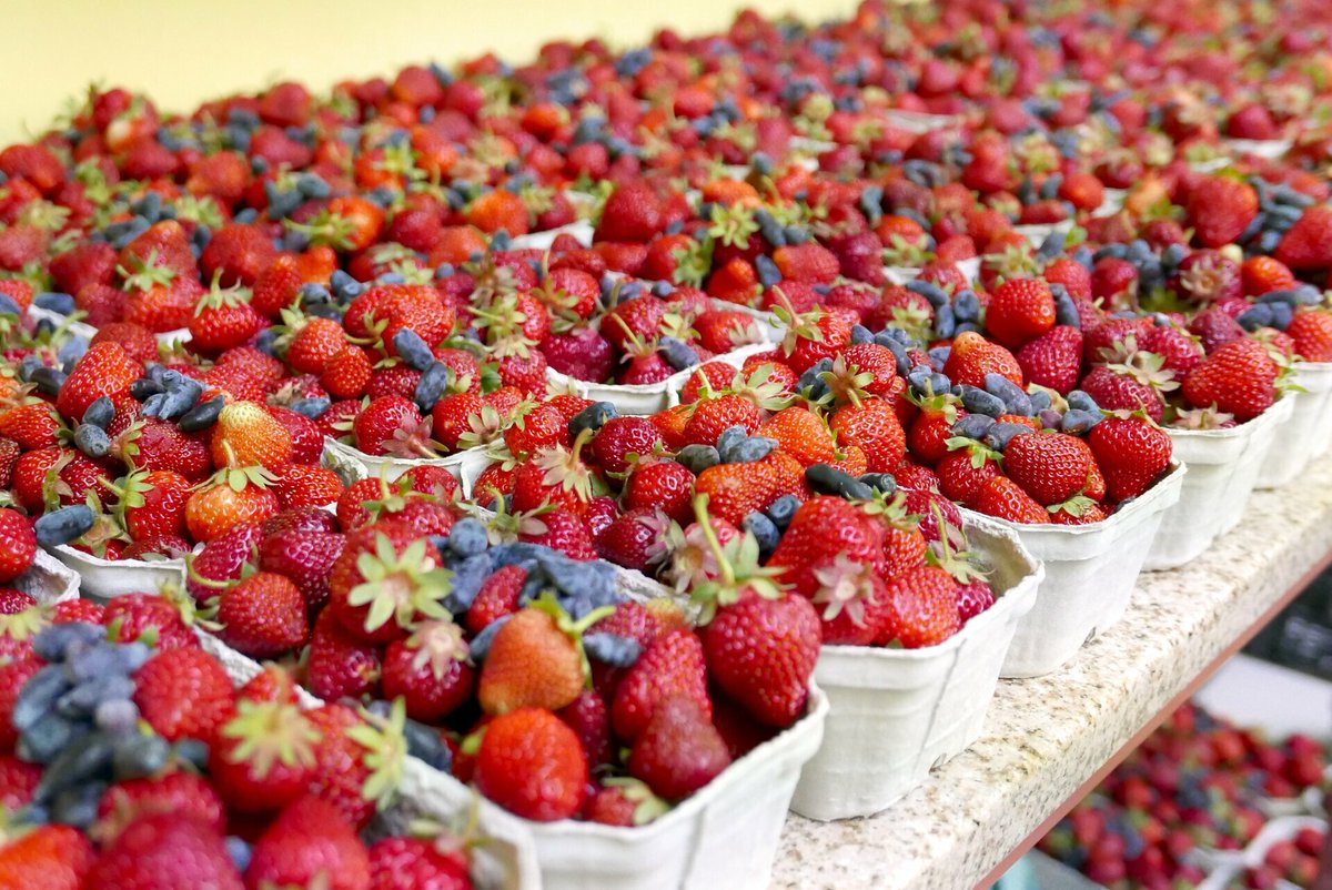 Uniwersytet Przyrodniczy we Wrocławiu tweet media