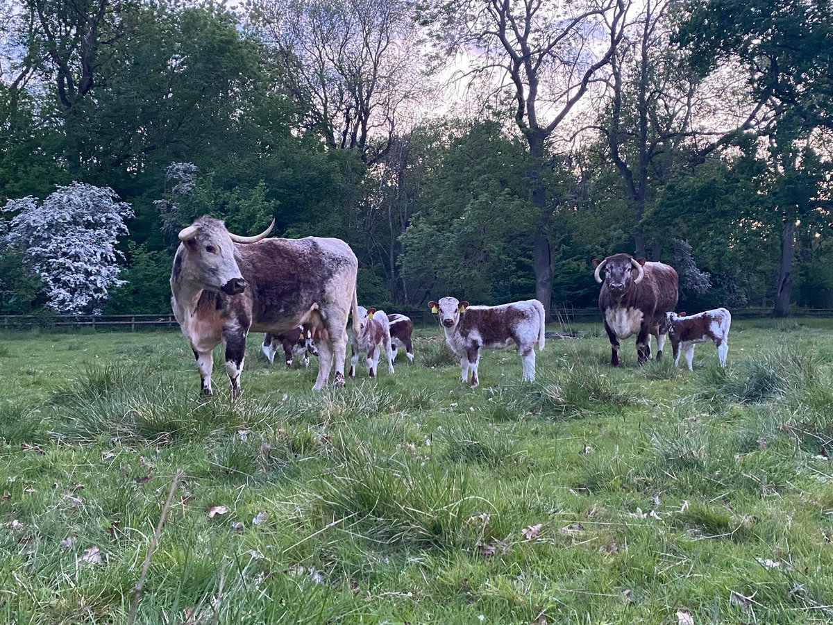 Accession tweet media