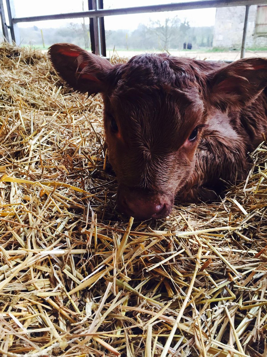 Accession tweet media