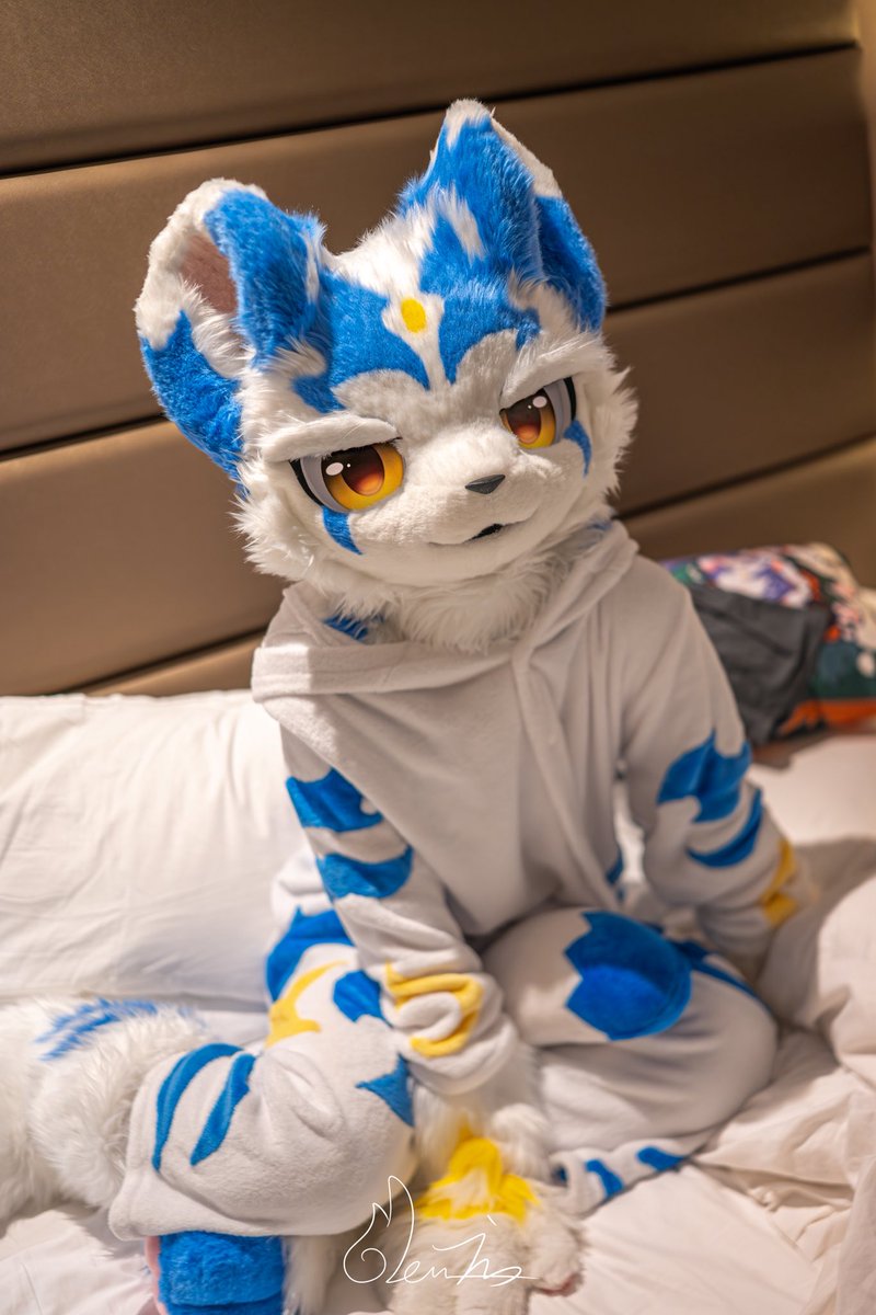 佰藏➡️上学 tweet media