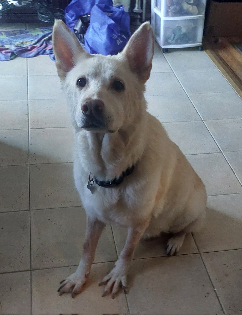 🖤 Just Heather 🖤 tweet media