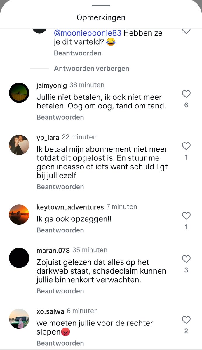 Anne Fleur Dekker tweet media