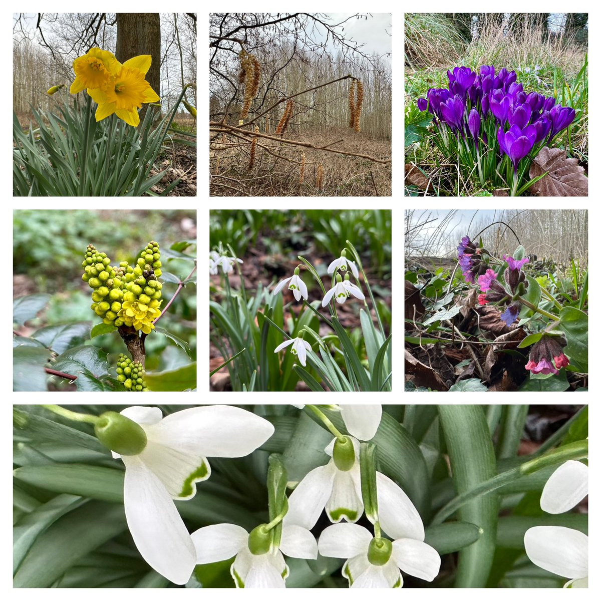 Jay Up North tweet media