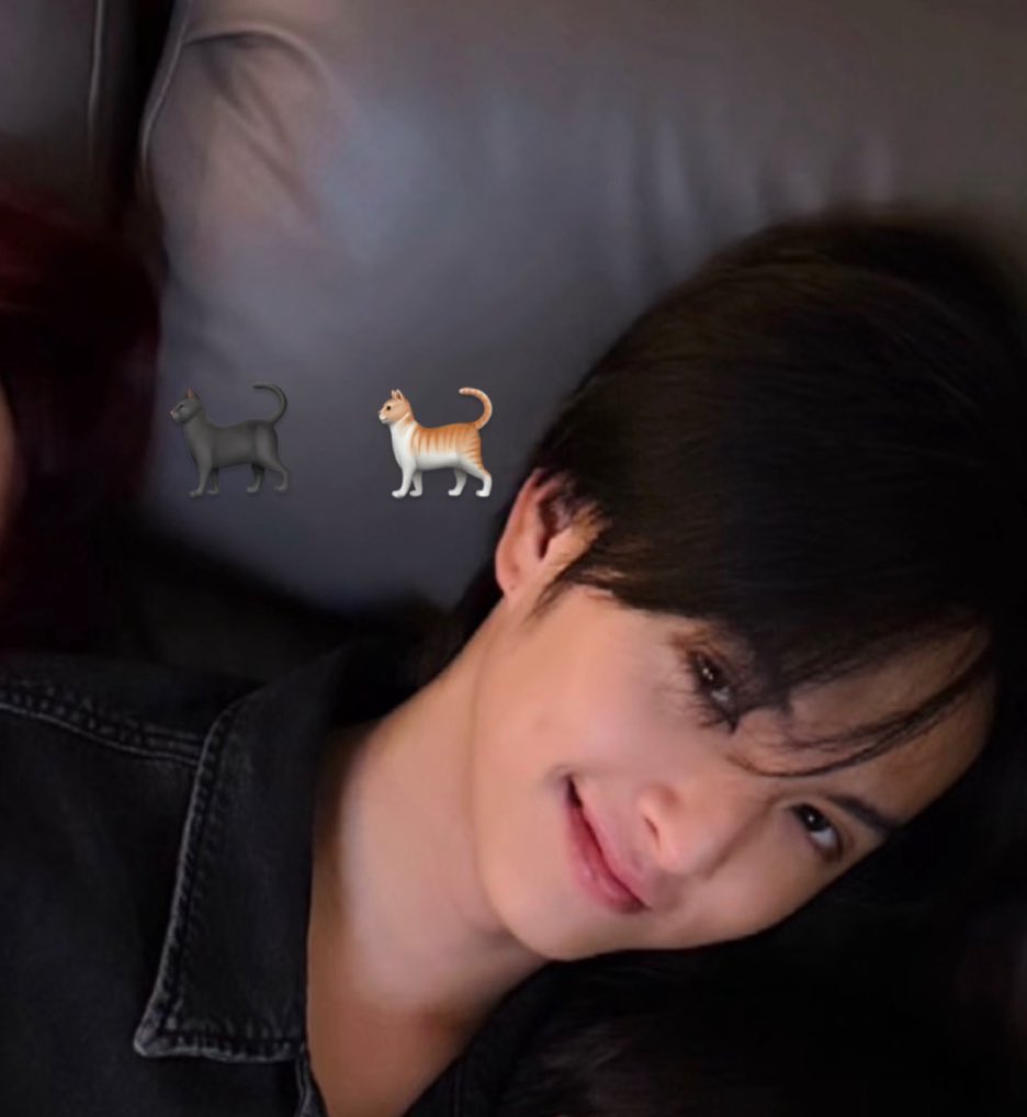 Plengeiizimus's tweet photo. #COPPERdechawat #CHIQUITA 

หน้ากล้องหนี 😾                 หลังกล้องนอนซบไหล่พี่ 😽 https://t.co/TP9VFHDeTX