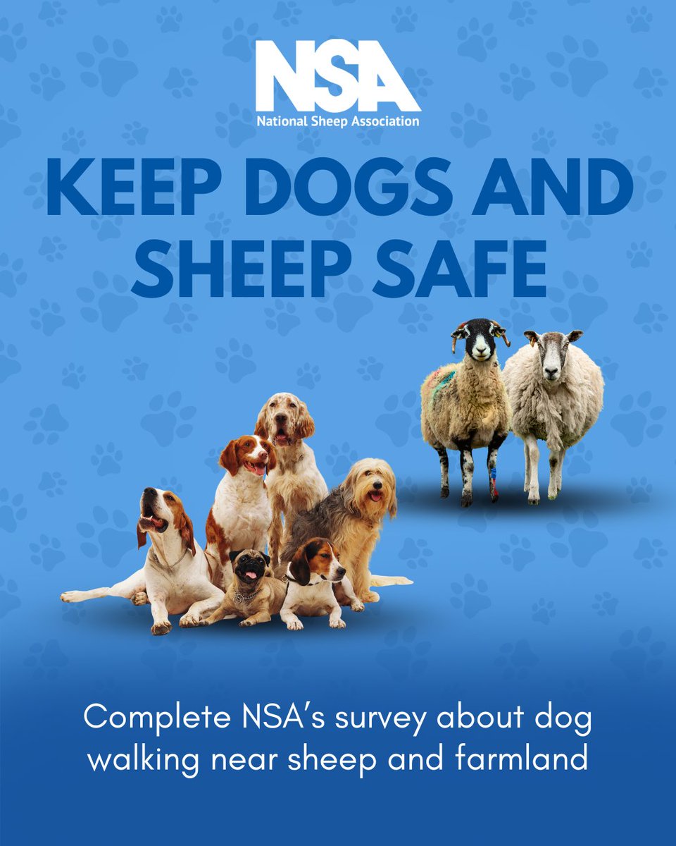National Sheep Association tweet media