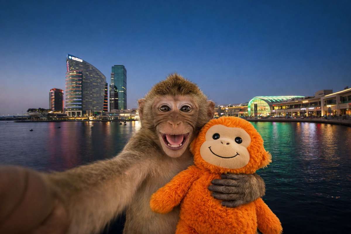 Dubai Festival City tweet media