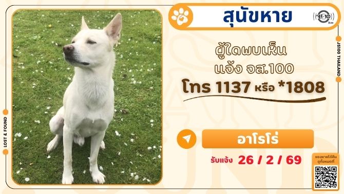 สุนัขหายจากบริเวณรพ.โป่งน้ำร้อน อ.โป่งน้ำร้อน จ.จันทบุรี ผู้ใดพบเห็นแจ้ง JS100 โทร *1808 หรือ 1137

รายละเอียดเพิ่มเติม : js100.com/en/site/lost_f…

#สุนัขหาย #ตามหาสุนัขหาย #JS100