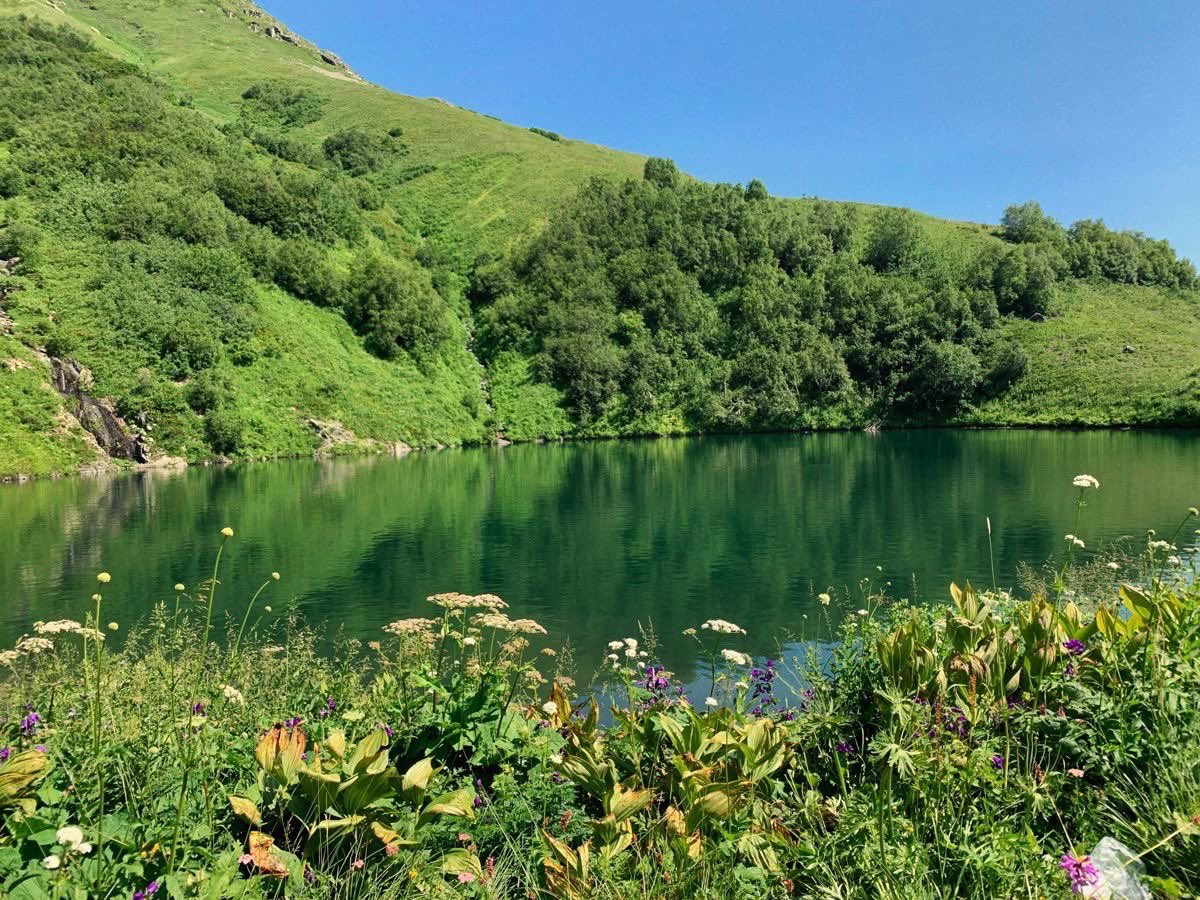 greendreamvibes's tweet photo. 🌿 https://t.co/oJfMaQWviv