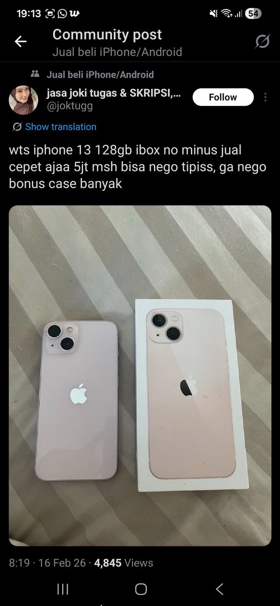 winter bear࣪ ִֶָ☾. tweet media