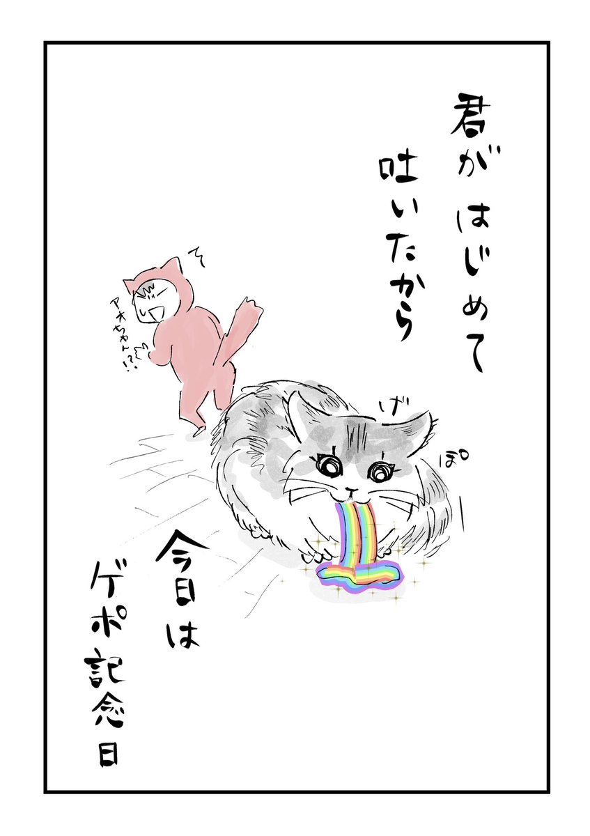 【記念日】
うちの子全然吐かないな〜いい子♡と思ってたら猫って赤ちゃんのうちは吐かないらしいですね。
大人になった記念日ってことで。👏

#寝る前のどうでもいい報告 