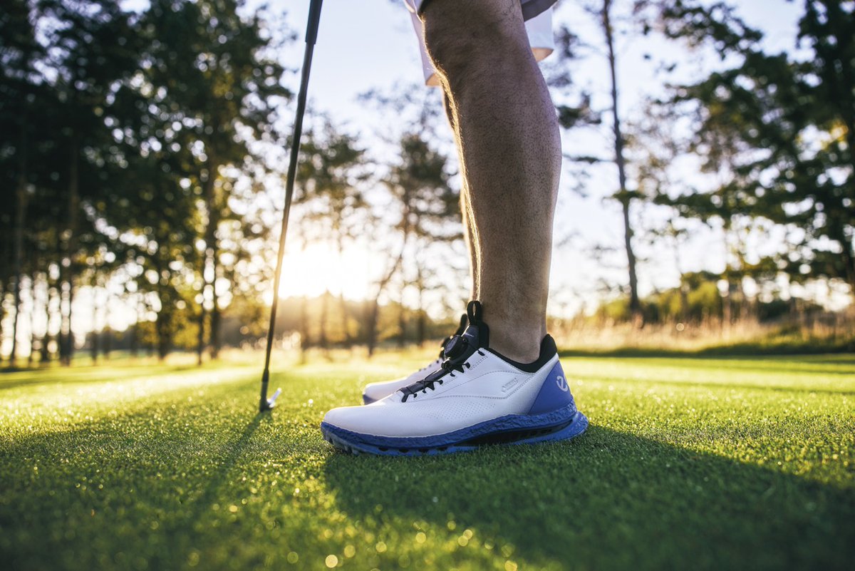 golfshake tweet media