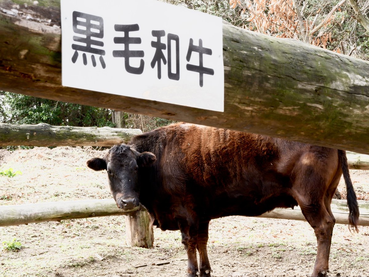 晩御飯決定

#渋川動物公園