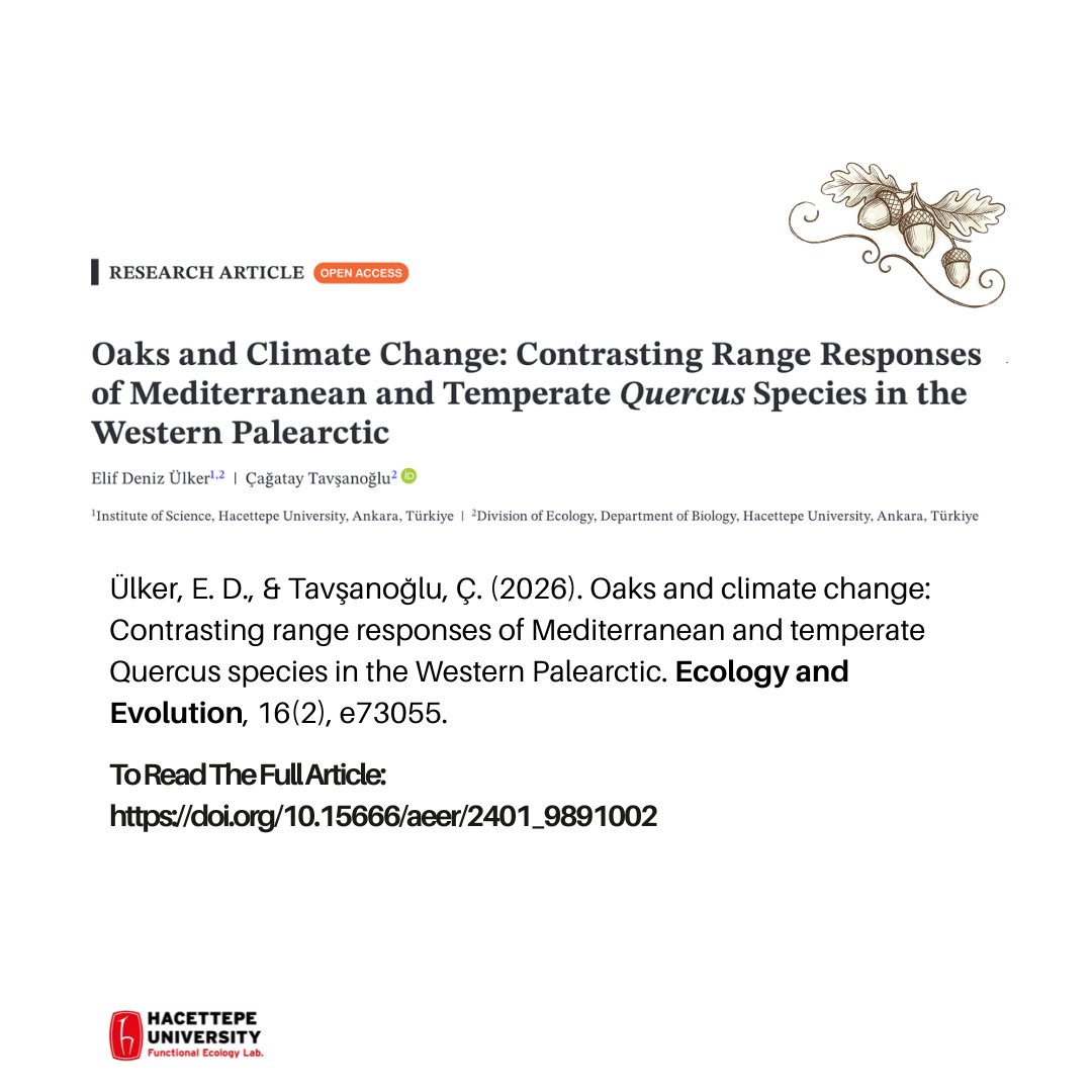 Functional Ecology Lab. tweet media