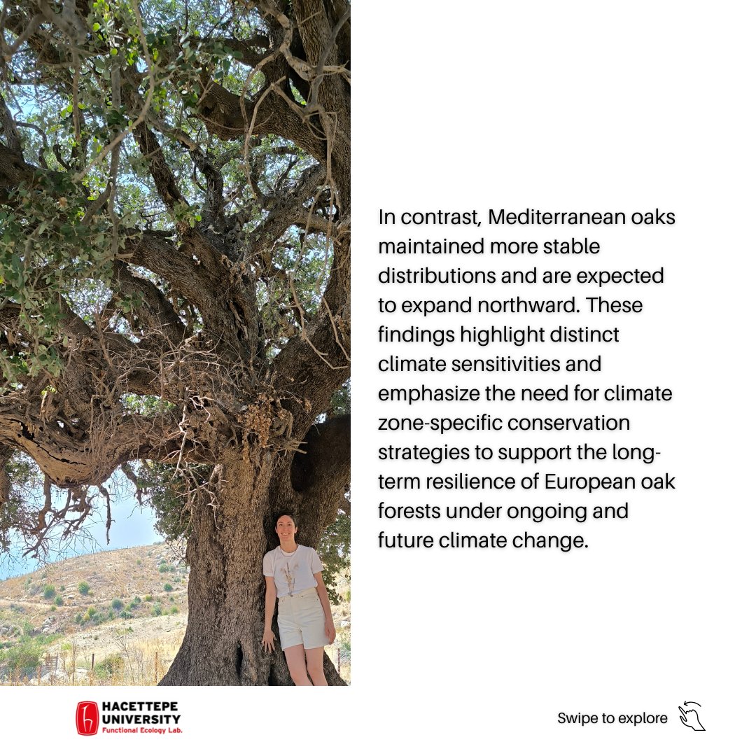 Functional Ecology Lab. tweet media