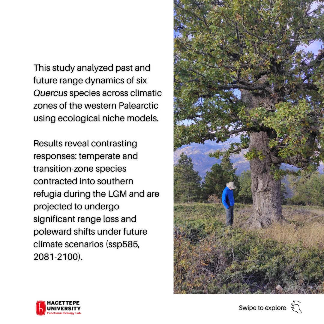 Functional Ecology Lab. tweet media