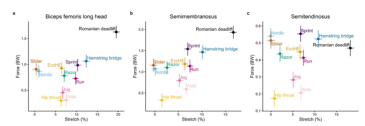 Physio Explored tweet media