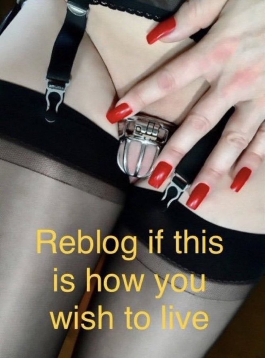 MISTRESS VIOLA SISSY SCHOOL/SISSY-GAY TEST tweet media