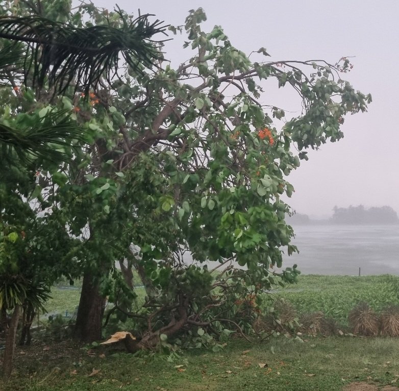 Velvet : ออกจากโหมดนักเขียนสักครู่ 🤷‍♀️ tweet media