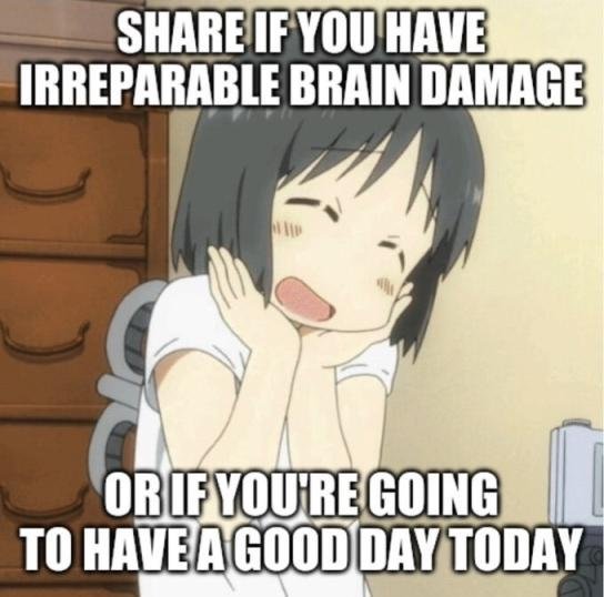 TobleROON tweet media