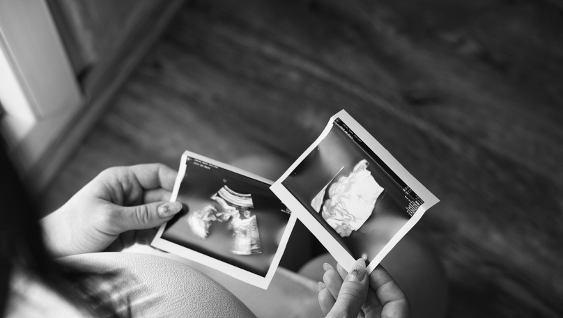 Ordo Iuris International tweet media