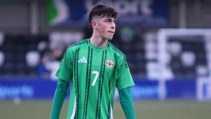 IrishPropaganda🇮🇪⚽️ tweet media