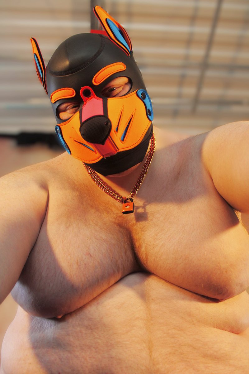 who’s my good puppy? it youuu 🧡