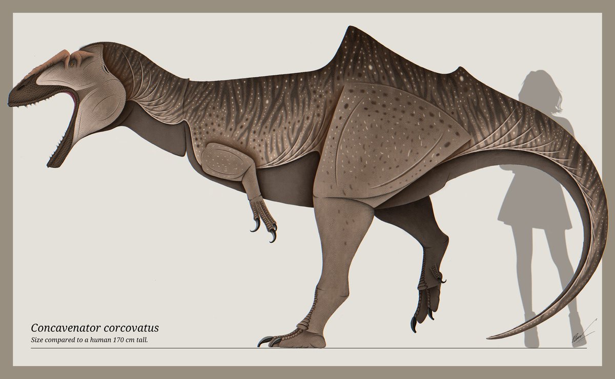 Artists, show you arts and nationality