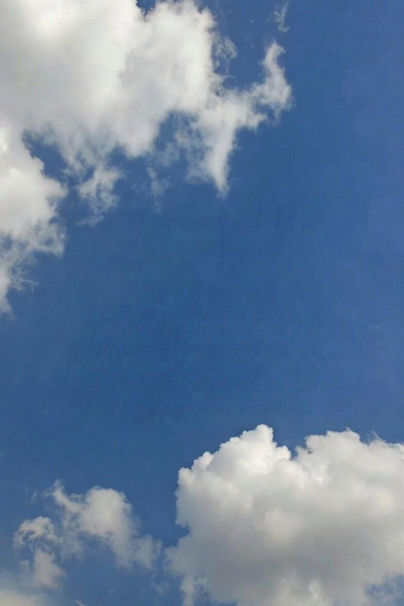 TheYieldMind Ⓜ️Ⓜ️T tweet media