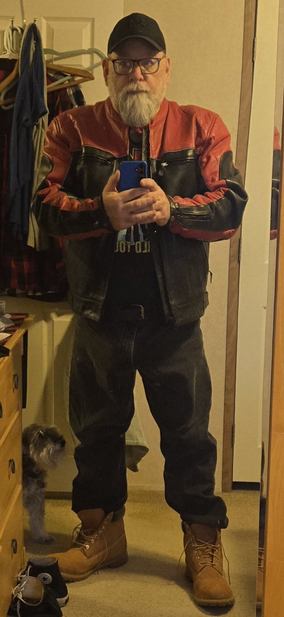 allamericanbear tweet media