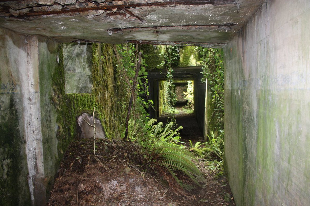 Discovering the frontline and beyond. tweet media