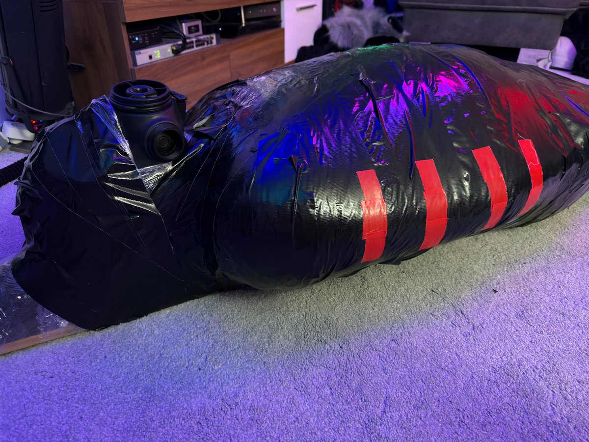 Dumb Dog Mastix tweet media