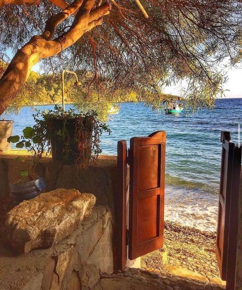 dertee (@realdertee) on Twitter photo 