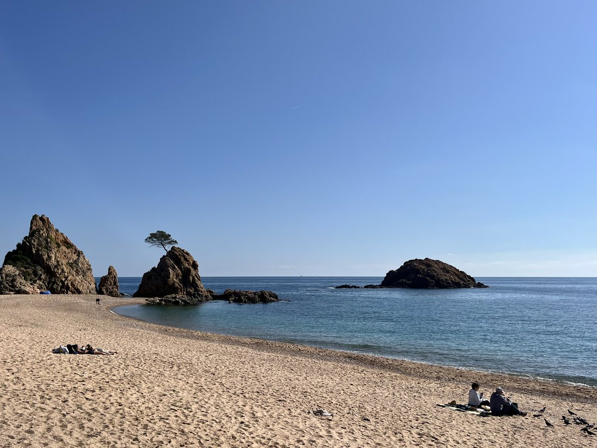 Robby Geebelen tweet media