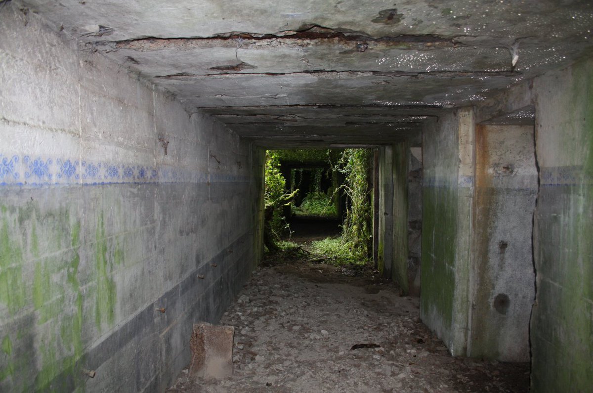 Discovering the frontline and beyond. tweet media