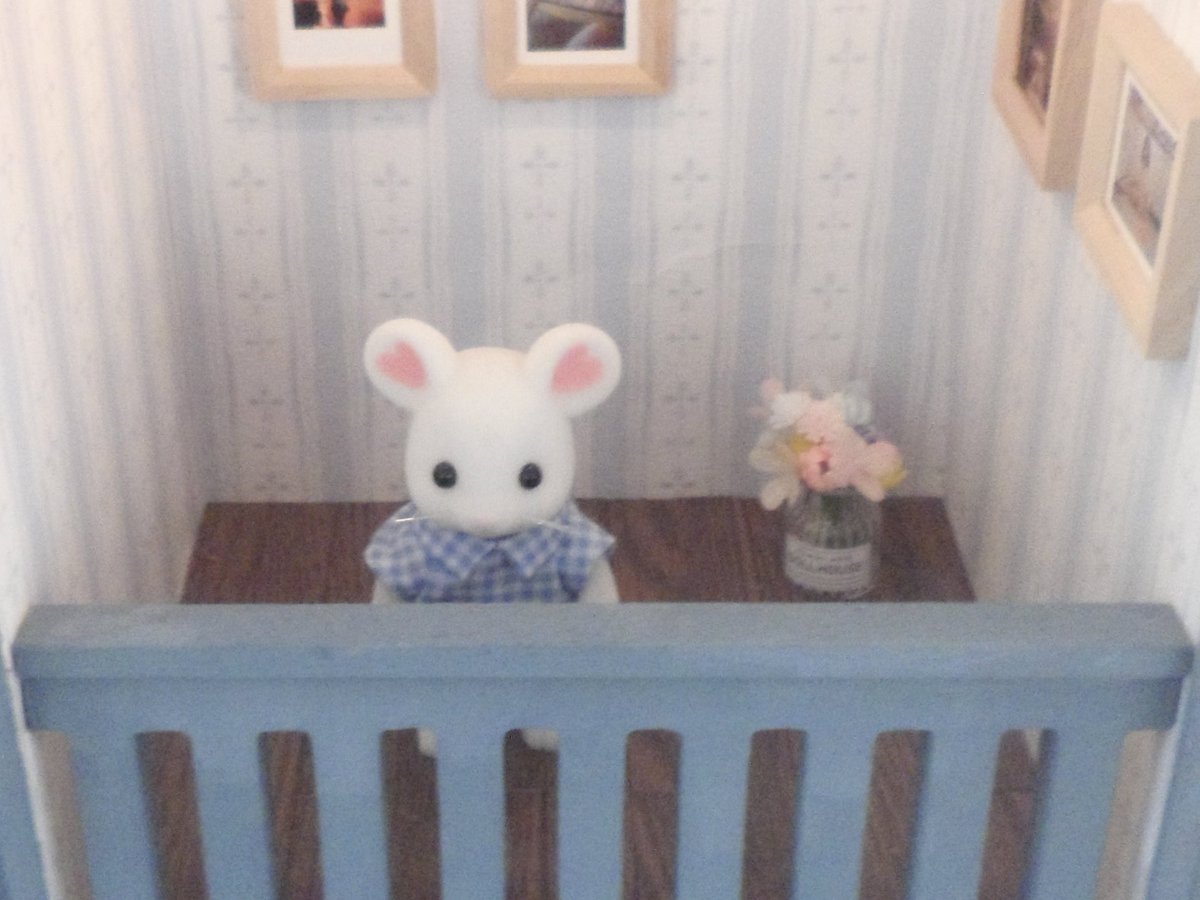 @ (@zizizlp) on Twitter photo 