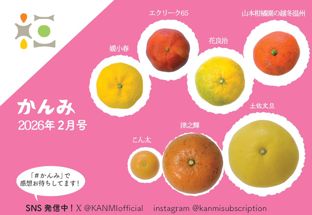 📣かんみ2月号 発送中！ 今号は「手で剥けるブラッドオレンジ」こと