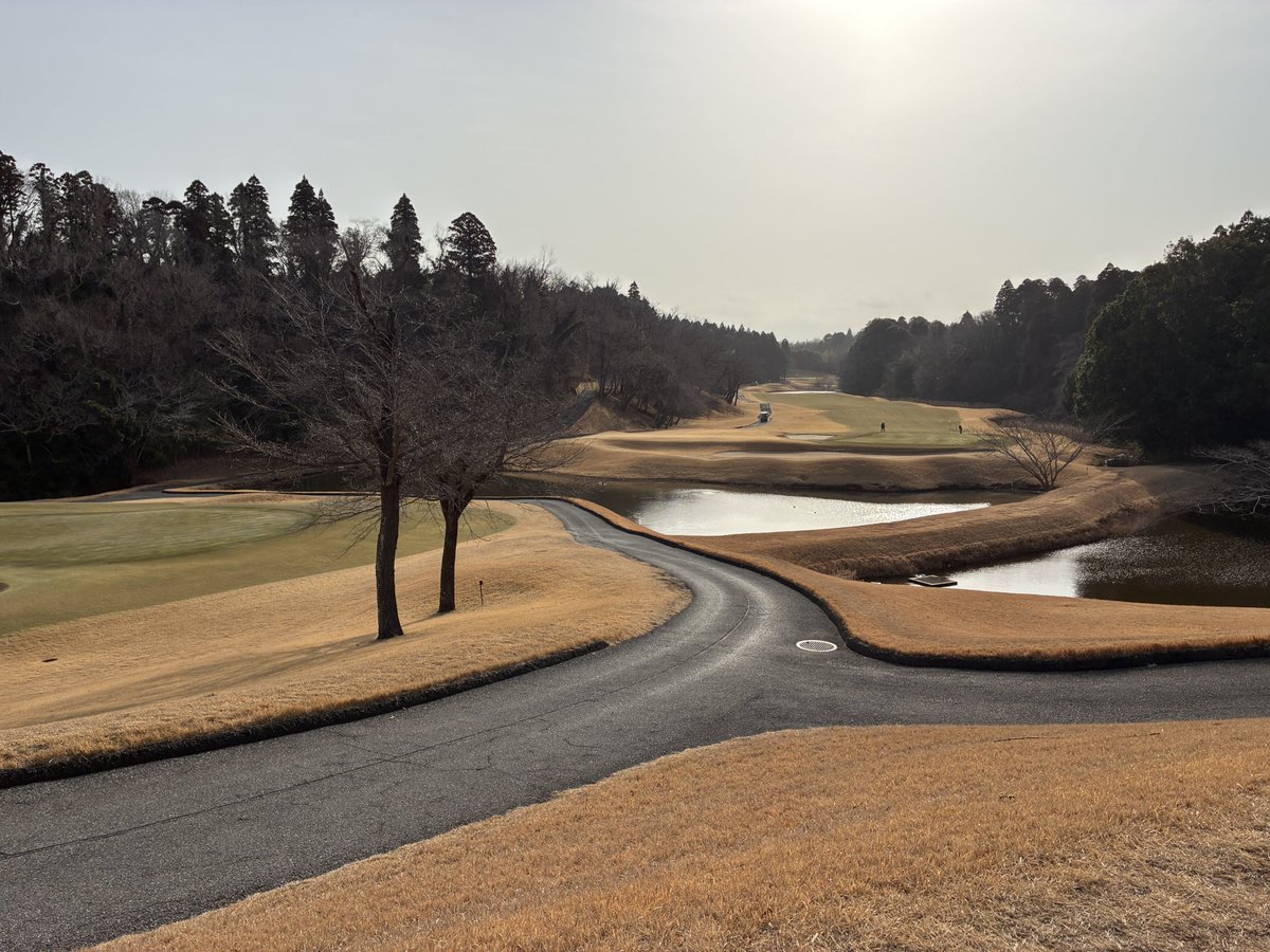kt20015555's tweet photo. 2/24 太平洋クラブ 成田コース⛳️

スコア111（パット36）

約1年ぶりの来訪。

スタート4ホールは＋3。
今日は違うかも、と思ったら
そこから大崩れ。

狭い。池多い。
レギュラーで約6300y。

楽しかったけど、難しすぎた😂
こんなにコース覚えてないもの？笑 https://t.co/LIfY6BikBv