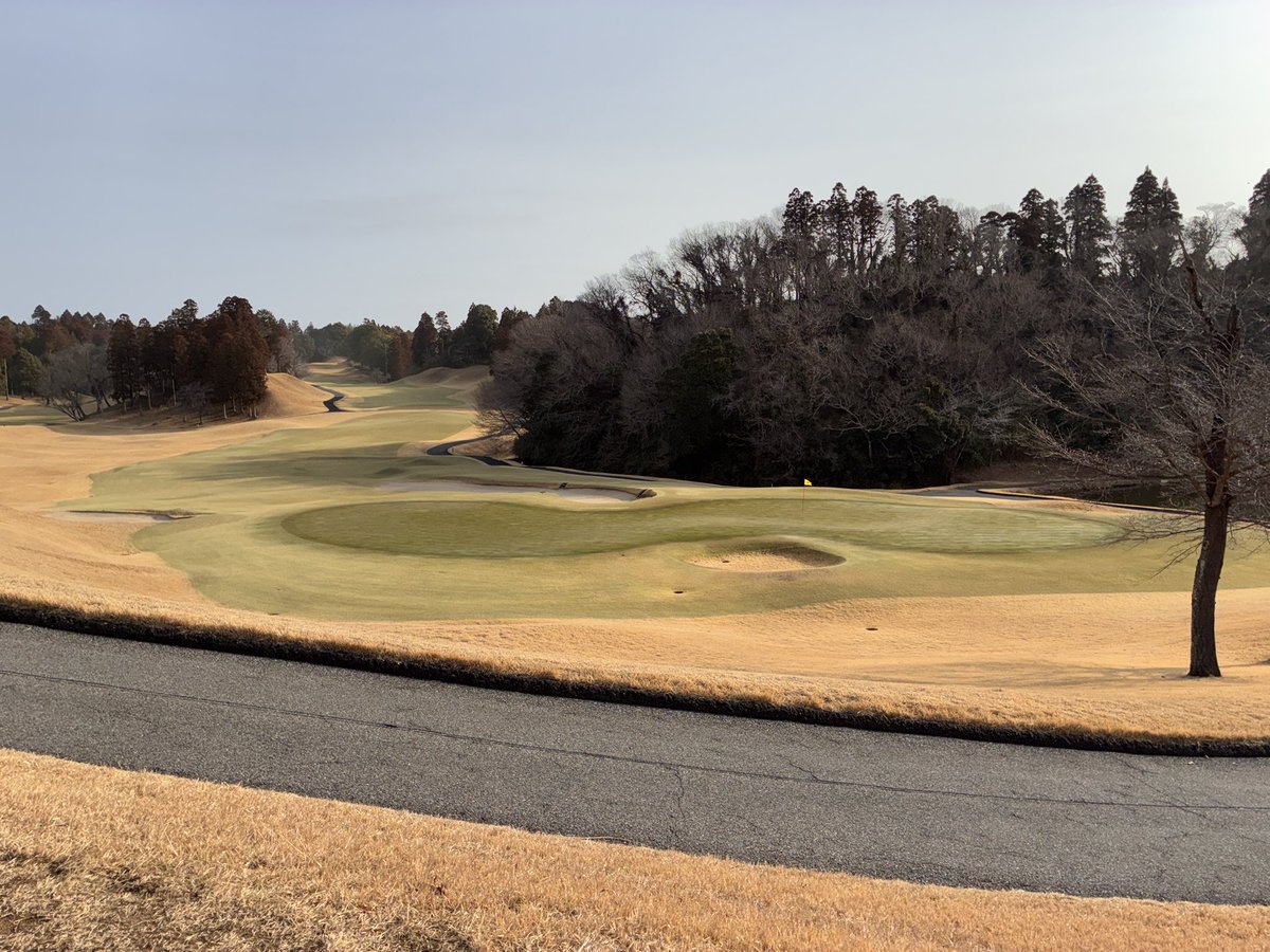 kt20015555's tweet photo. 2/24 太平洋クラブ 成田コース⛳️

スコア111（パット36）

約1年ぶりの来訪。

スタート4ホールは＋3。
今日は違うかも、と思ったら
そこから大崩れ。

狭い。池多い。
レギュラーで約6300y。

楽しかったけど、難しすぎた😂
こんなにコース覚えてないもの？笑 https://t.co/LIfY6BikBv